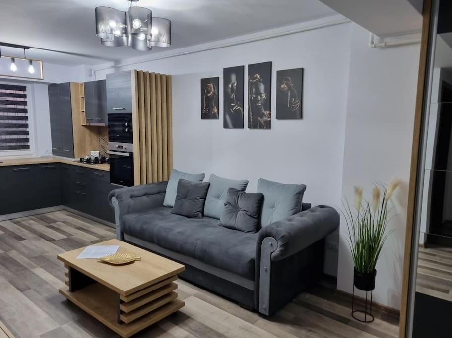 Luxury Apartments Bacău Exterior foto